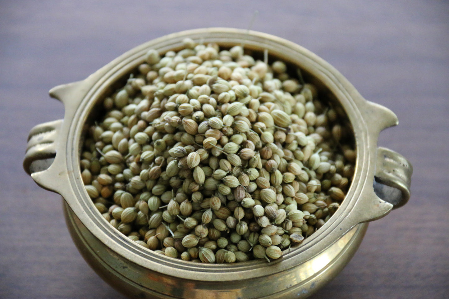 Coriander-Organic